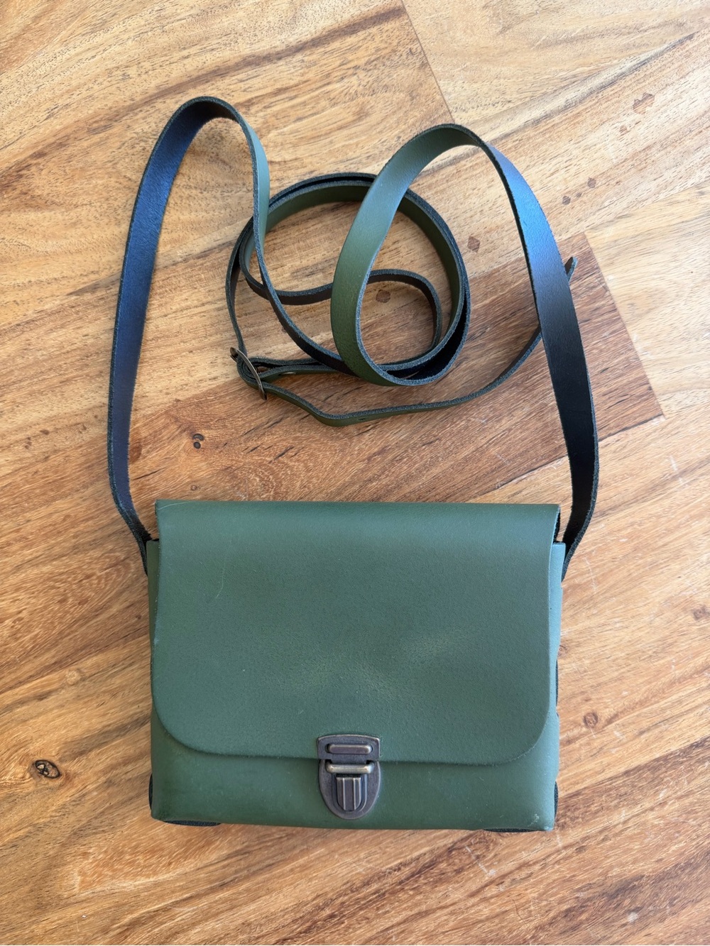 Olive Green Leather Mini Crossbody Bag with Strap